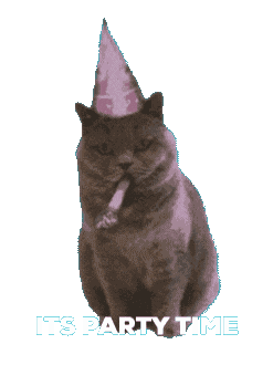 Party cat dancing